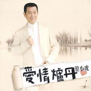 爱情炉丹