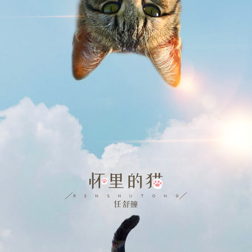 怀里的猫（萌喵版）
