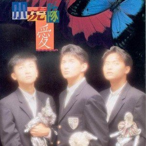 蝴蝶飞呀