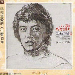小雨打在我身上