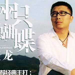 两只蝴蝶