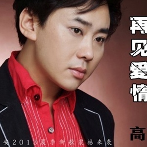 再见爱情
