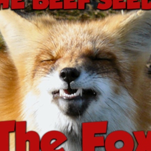 The Fox