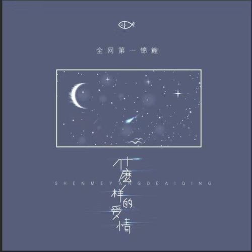 什么样的爱情