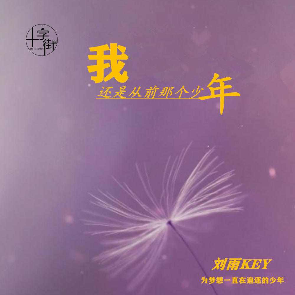我还是从前那个少年