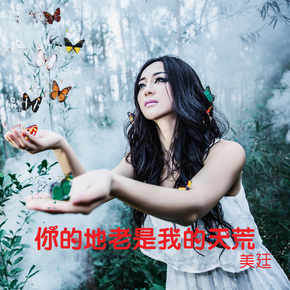 你的地老是我的天荒