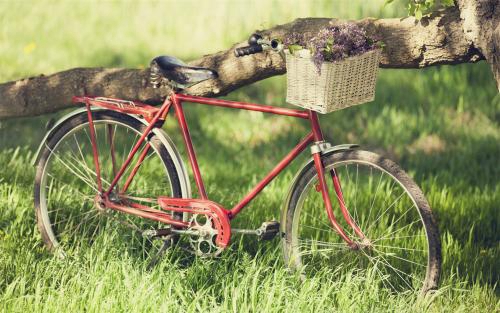 好看酷酷的扣扣头像13