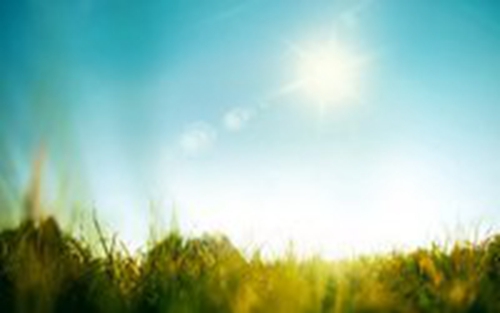 游戏名冰心头像6