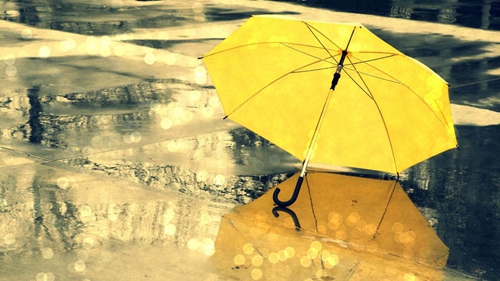 抖音把我最爱的文字读给你听不管是狂风暴雨或是天晴是什么歌