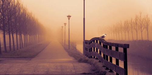 情侣小头像卡通9