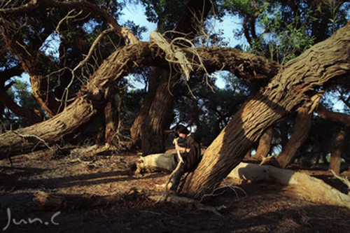 物业祝福语简短元旦2