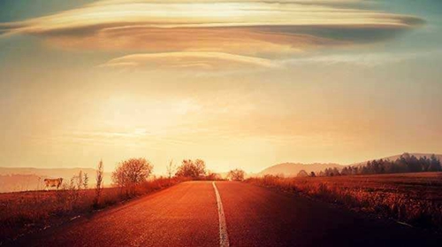 猪的爆笑笑话