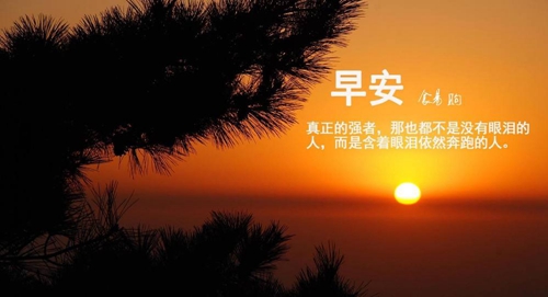汽车档把搞笑图 
