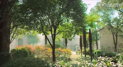 一条教师节的祝福语