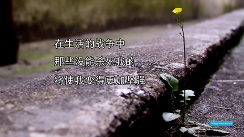 男孩霸气说说大全（推荐10句） 
