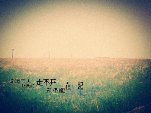 关于执守的说说句子