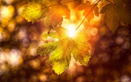 水土流失的英文网名仙气