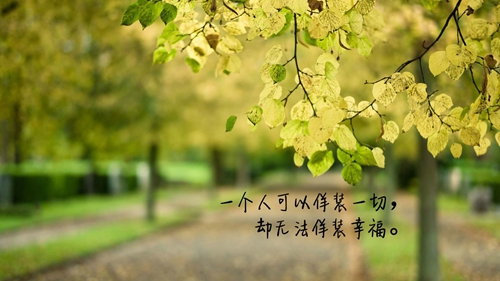 关于相思的说说句子