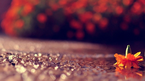 关于暖心的说说句子