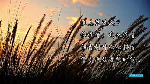 帅气的一个网名