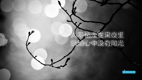 情侣之间相守的情话