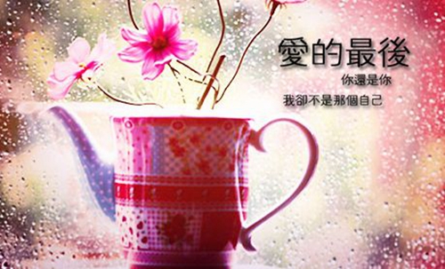 关于语言的说说句子