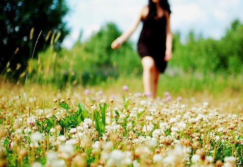 歌曲Simple Kind Of Life - No Doubt[无疑][DJ百分中文]