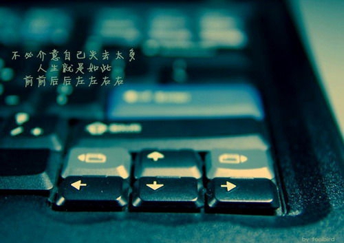 单身签名暖心简单的情话 
