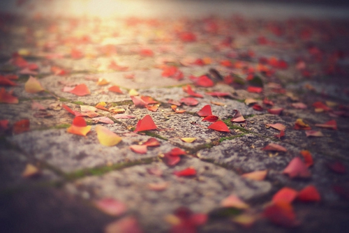 完美关系简短说说