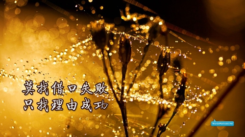 故乡陇南 - 刘媛媛