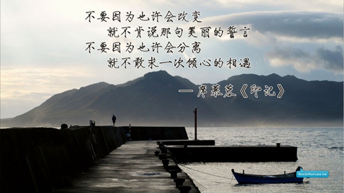 爱情动情话