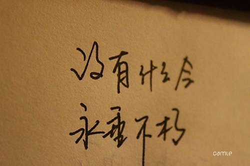 卡洛儿对吕树说的话（最朴实的表白情话） 
