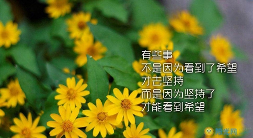 非主流网名关于兮颜