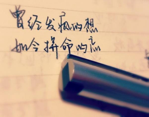 抢运钞车搞笑图片