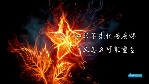 关于描写的说说句子