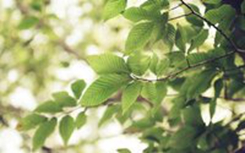 教师节发微信群的祝福（适合发群里教师节祝福语简单） 
