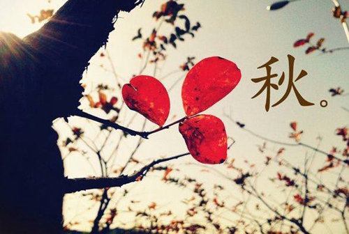 微信个性签名伤心有诗意