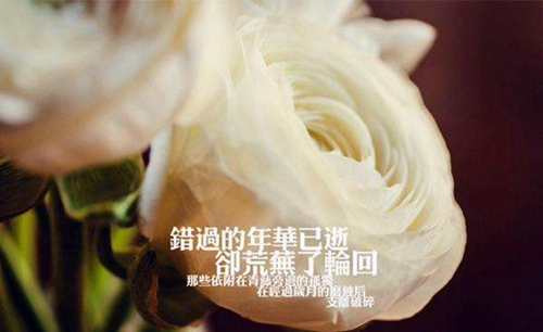 表白的话对女生