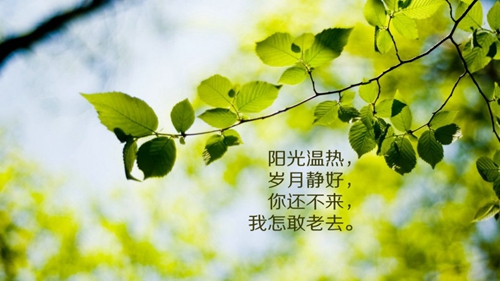 赌徒个性说说