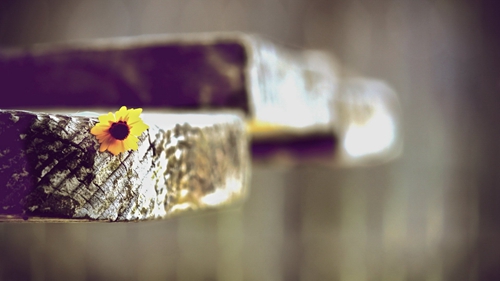 送自己一段伤感而又励志的话 悲伤离开的句子