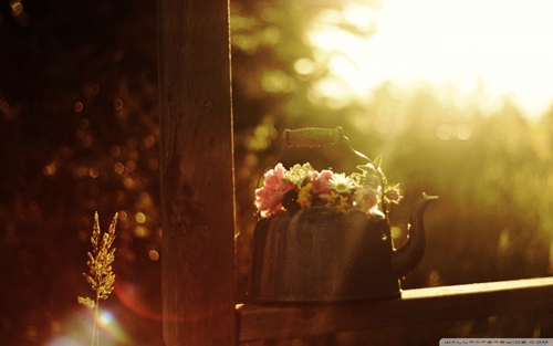 刚出社会的应届毕业生祝福语