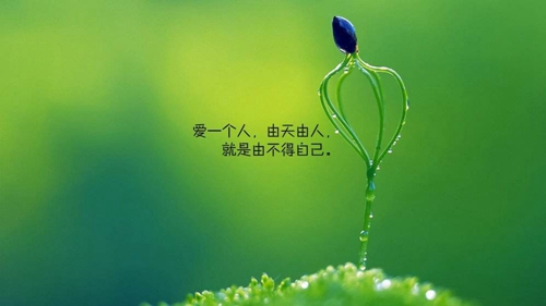 网名让别人看了挺逗