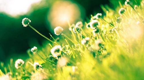 25句一张的中秋节短信