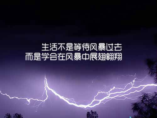老炮儿决斗视频